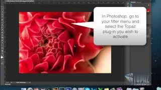 How to enter your license key into Topaz Labs