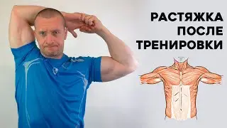 Нужно ли делать Растяжку после тренировки