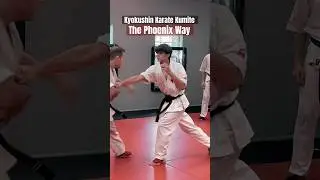 Kumite! Kyokushin Karate Black Belt Sparring #karate #sparring #shorts #short #training #osu