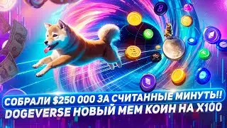 Собрали $250k за считанные минуты! DOGEVERSE новый мем коин на Х 100