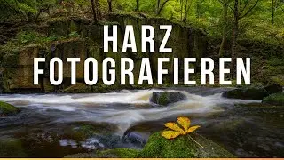 Herbst im Harz! Meine liebsten Fotospots im Harz