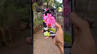 Nothing 3a Pro Camera Test 🔥