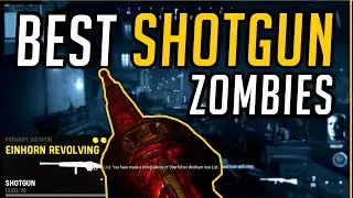 Best Einhorn Revolving Setup for Zombies | Call of Duty Vanguard - Weapon Guide