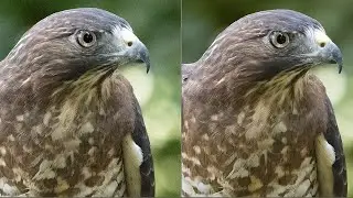 In-depth Lightroom Classic workflow for the DeNoise AI RAW model
