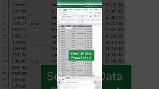 How to Fill Empty Cells with Values in Excel | Tips and Tricks
