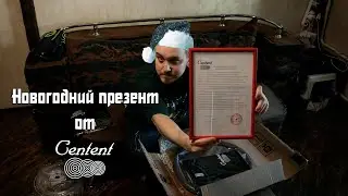 Новогодний презент от Centent | Барабанщик Денис Золотов