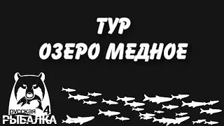 Тур на Озеро медное. Фарм серебра. Русская рыбалка 4.