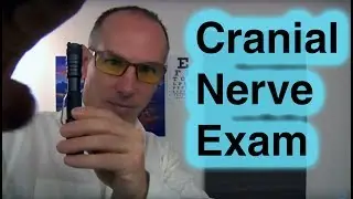 ASMR Cranial Nerve Examination Role Play Dr Dmitri