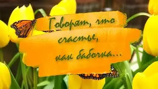 Футаж💐 Пожелание Счастья❗❗ 💌 Счастье Как Бабочка 🦋🦋