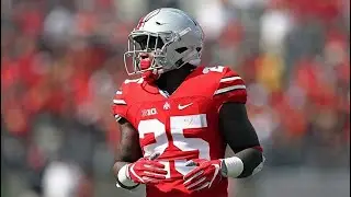 Mike Weber Highlights 2018-19 Ohio State RB | ᴴᴰ