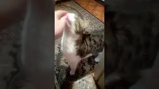 Ласкай меня