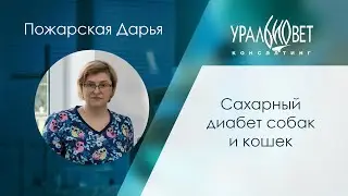Сахарный диабет собак и кошек. Пожарская Дарья 