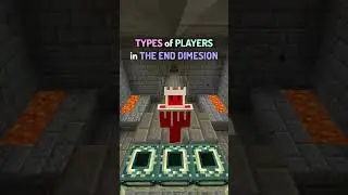 Types of Minecraft Players in The End Dimension