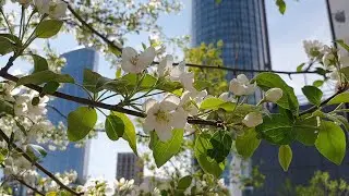 🌸Екатеринбург🌸 6.05.2023🌸