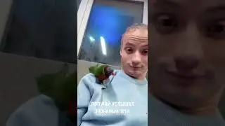 Попугай услышал любимый трек😂