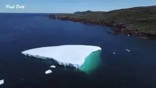 DRONE video of Iceberg in Tickle Cove Newfoundland July 9th 2016