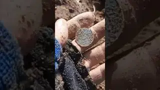 Есть ещё монеты в этой яме #поискмонет #коп #клад #metaldetecting