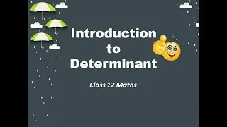 #1 Class 12 Maths Introduction to Determinant.