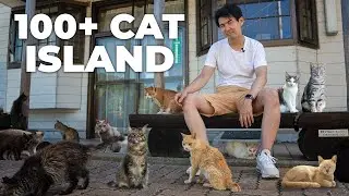 How is Japan’s CAT ISLAND Surviving Without Tourists