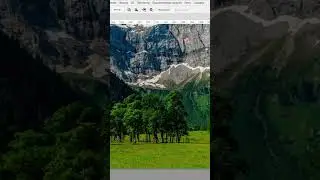 Рендер дерева в фотошопе🤯 