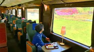 $6 Elegant Adventure: Riding the Sightseeing Express Train ''Blue Symphony'' Osaka- Nara