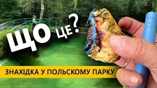 Знахідка у польскому парку м.Катовице