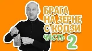 Зерновое самогоноварение: часть 2. Пшеничная зерновая брага на кодзи Ангел