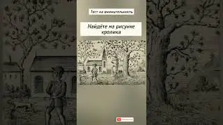 австрийский тест на внимательность, найдёте на рисунке кролика?