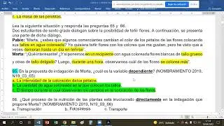 Variables independiente, dependiente, control e intervinientes en un plan de indagación