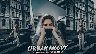 Urban Moody Lightroom Preset 2025 – Edit Like a Pro! 📸✨ (Free Download)