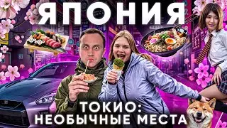 Япония. Как ошибаются 99% туристов, летя в Токио? Еда цены отель собаки Сиба-ину рамэн Tokyo Japan