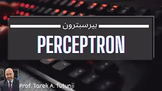 4  Perceptron | بيرسبترون