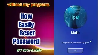 ✨How to Reset Windows 11,10, 8.1 Forgotten Password ➡️Without losing Data➡️Without USB drive