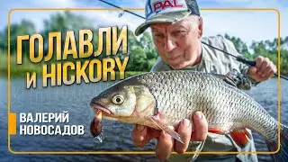 УЛОВИСТЫЙ ВОБЛЕР НА ГОЛАВЛЯ! Рыбалка на Zip Baits Hickory! #НовосадовLIFE