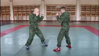 Exercise 27. Protection from punches