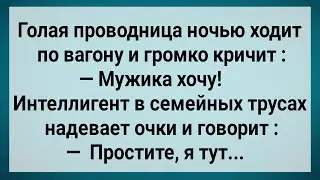 Как Проводница По Ночам в Вагоне Мужика Ищет! Сборник Свежих Анекдотов! Юмор!