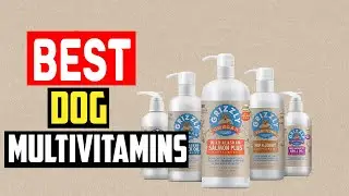 ✅Top 5 Best Dog Multivitamins in 2024