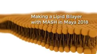 Lipid Bilayer Mash Maya 2018