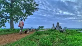 Sonbhadra: Tribal Groups Lose Livelihood—English Subtitles (Tribal Local Hindi Audio)