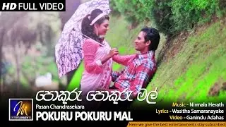 Pokuru Pokuru Mal - Pasan Chandrasekara | Official Music Video | MEntertainments