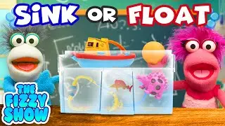 Fizzy & Phoebe's Sink or Float Science Experiment! | Fun Videos For Kids