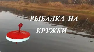 Рыбалка на кружки. Ловля щуки на живца.