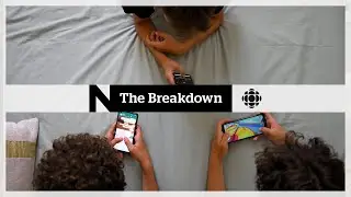 The Breakdown | Kids’ brains on social media + Bear invasions