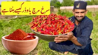 Red Chilli 🌶️ Powder Ghar Mein Kiase Tayar Hota  Hai