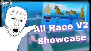 Every Race V2 Showcase | Meme Sea