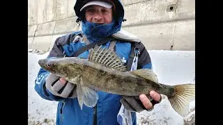 Такая рыбалка ВОСХИЩАЕТ! Москва река! Судак за Судаком! Зимняя рыбалка 2023!