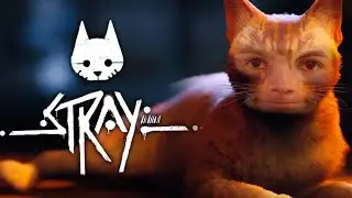 Join me in a live let's play of Stray!