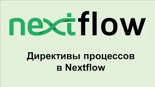 NF11. Как использовать директивы процессов Nextflow