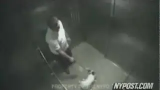 Vicious Dog Beating - New York Post