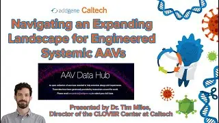 Navigating an Expanding Landscape for Engineered Systemic AAVs -  with Dr. Tim Miles (Webinar)